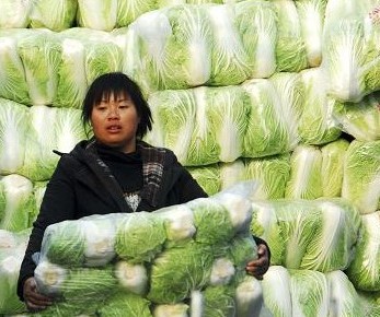 食堂蔬菜,食堂蔬菜來源,食堂蔬菜質(zhì)量,食堂蔬菜品質(zhì)